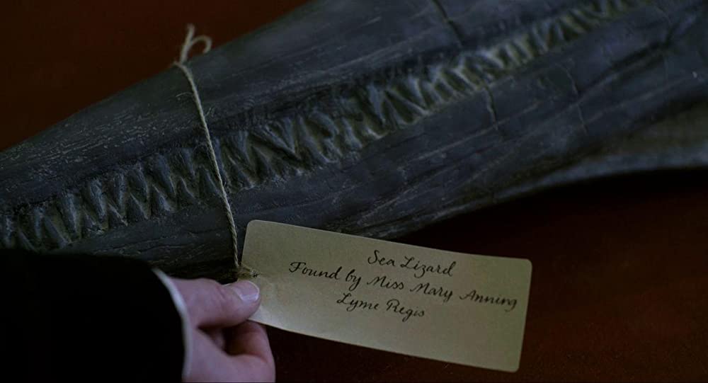 アンモナイトの目覚めの画像