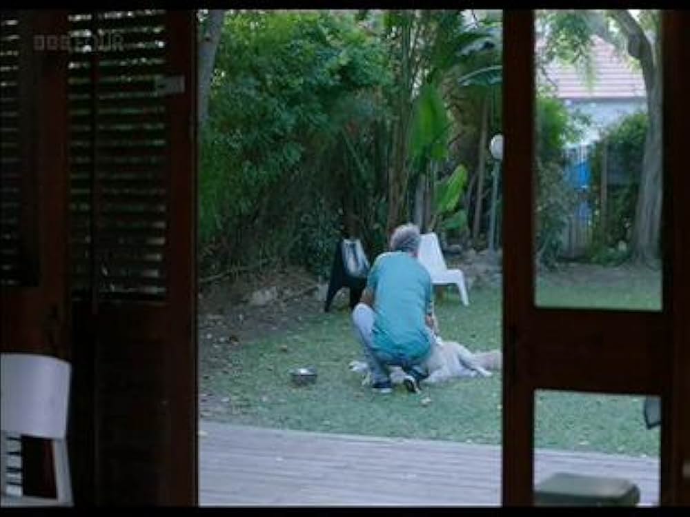 旅立つ息子への画像