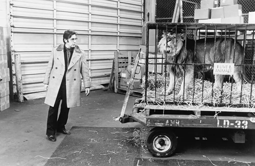 フェイクの画像