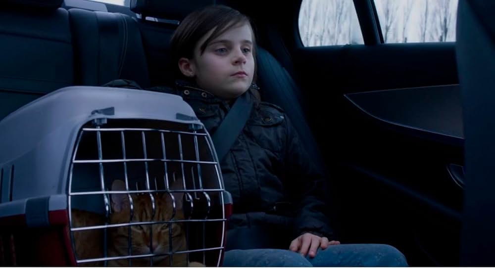 約束の宇宙(そら)の画像