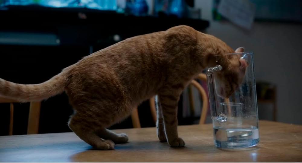 約束の宇宙(そら)の画像