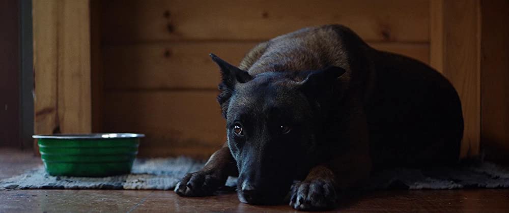 ウィッチサマーの画像