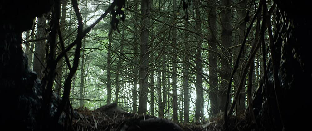 ウィッチサマーの画像