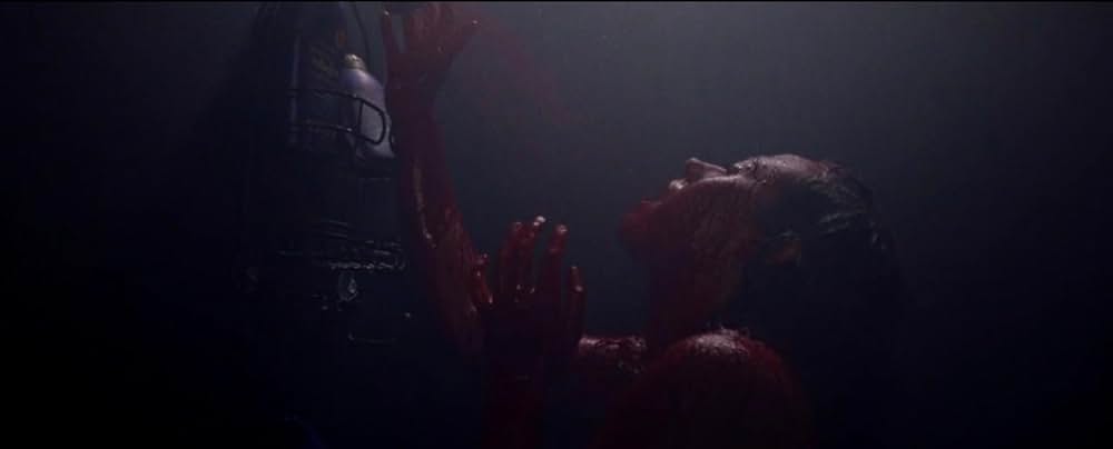 BLISS ブリスの画像