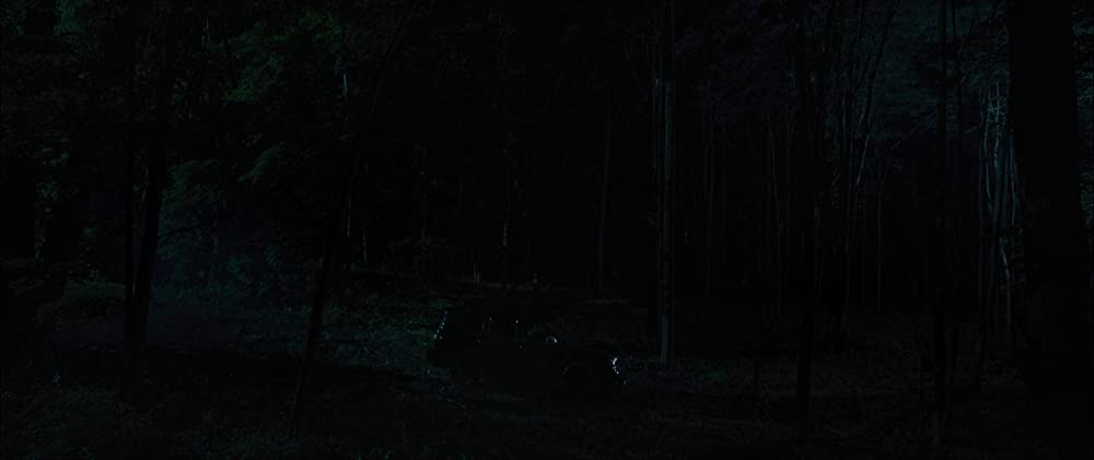 フロッグの画像