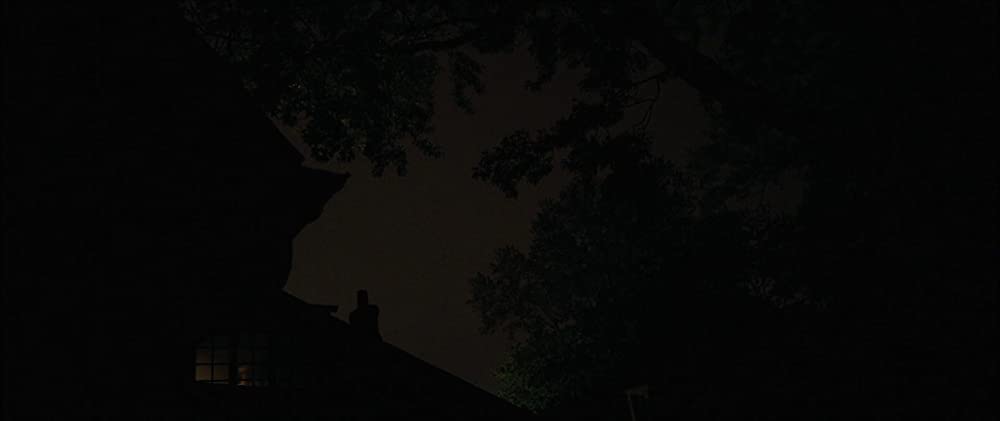 フロッグの画像