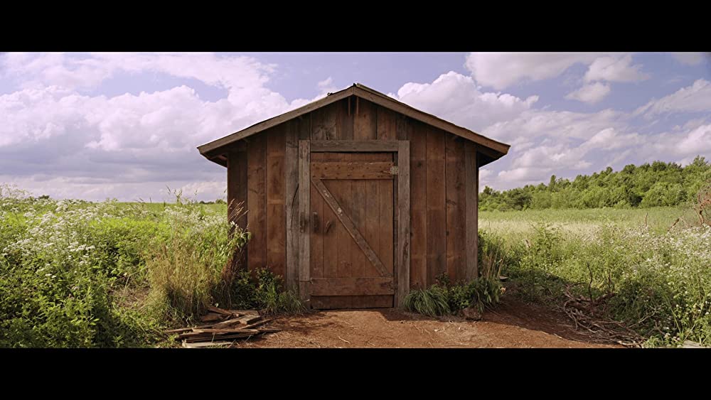 ホワッツ・イン・ザ・シェッドの画像