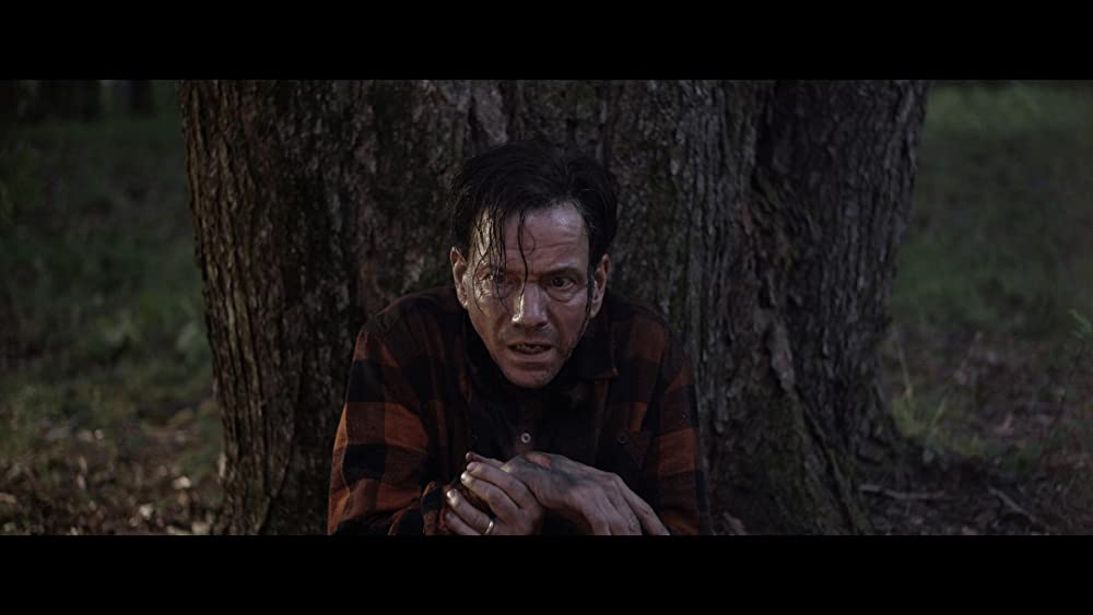 「ホワッツ・イン・ザ・シェッド」フランク・ホエーリーの画像