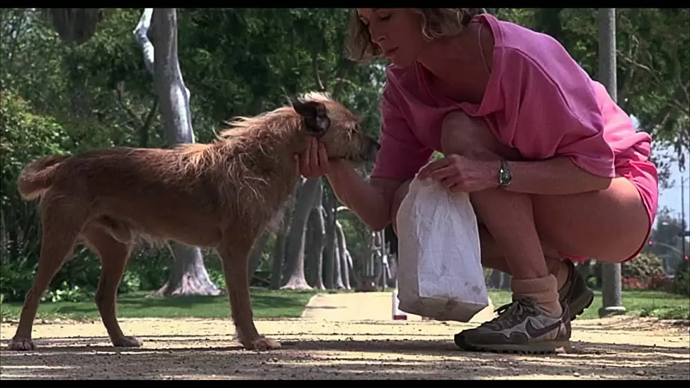 ビバリーヒルズ・バムの画像