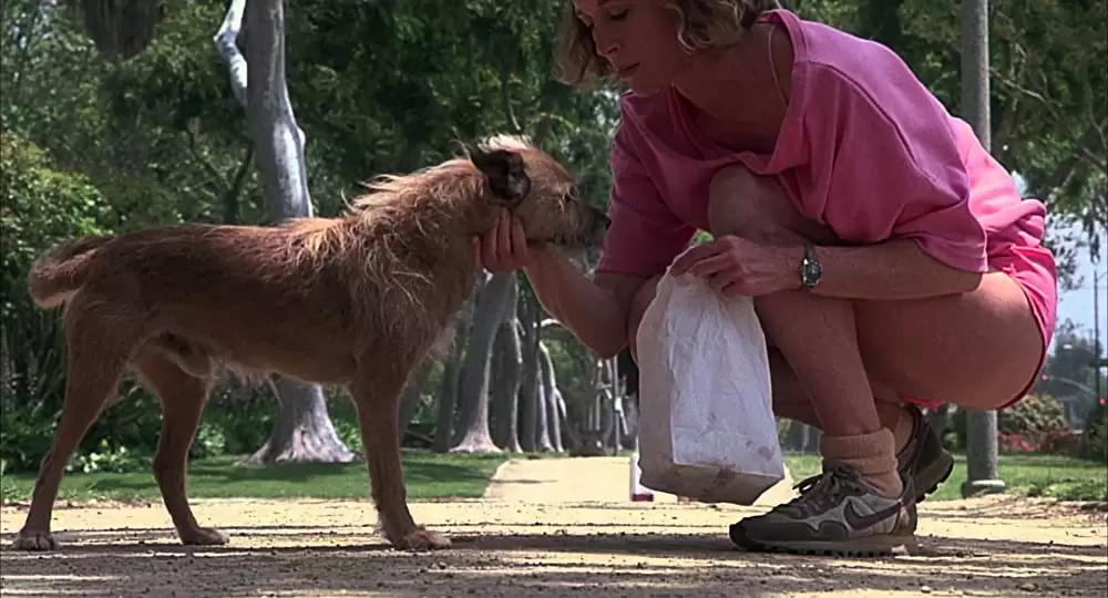 ビバリーヒルズ・バムの画像