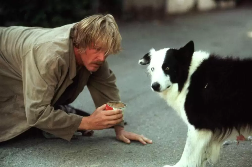 「ビバリーヒルズ・バム」ニック・ノルティの画像