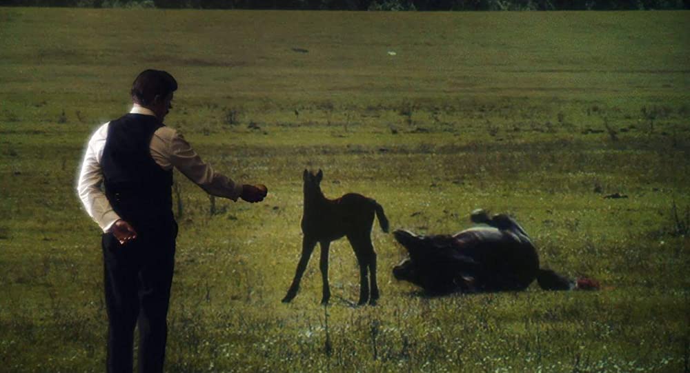 テスラ エジソンが恐れた天才の画像