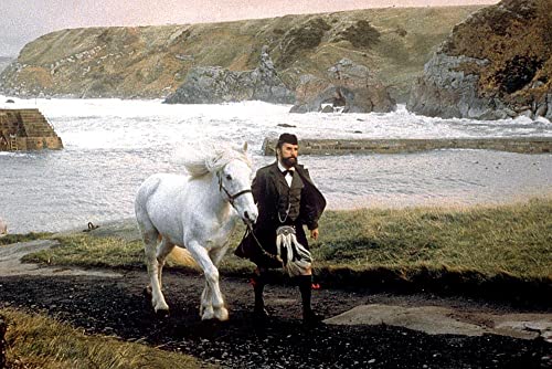Queen Victoria 至上の恋の画像