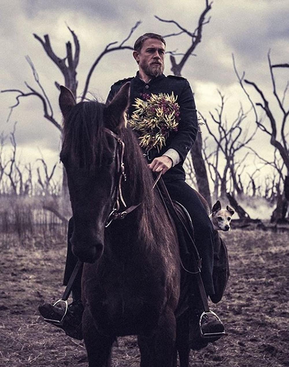 トゥルー・ヒストリー・オブ・ザ・ケリー・ギャングの画像