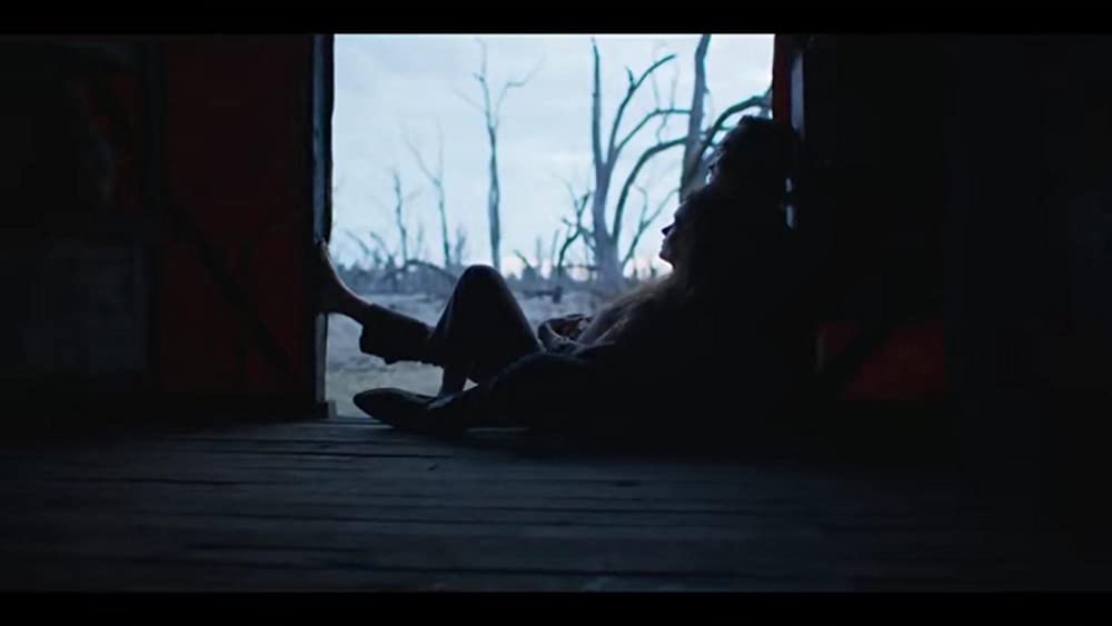 トゥルー・ヒストリー・オブ・ザ・ケリー・ギャングの画像