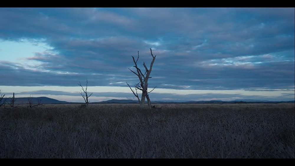 トゥルー・ヒストリー・オブ・ザ・ケリー・ギャングの画像
