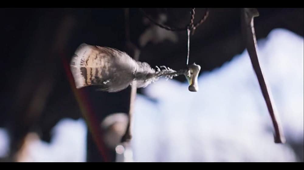 トゥルー・ヒストリー・オブ・ザ・ケリー・ギャングの画像