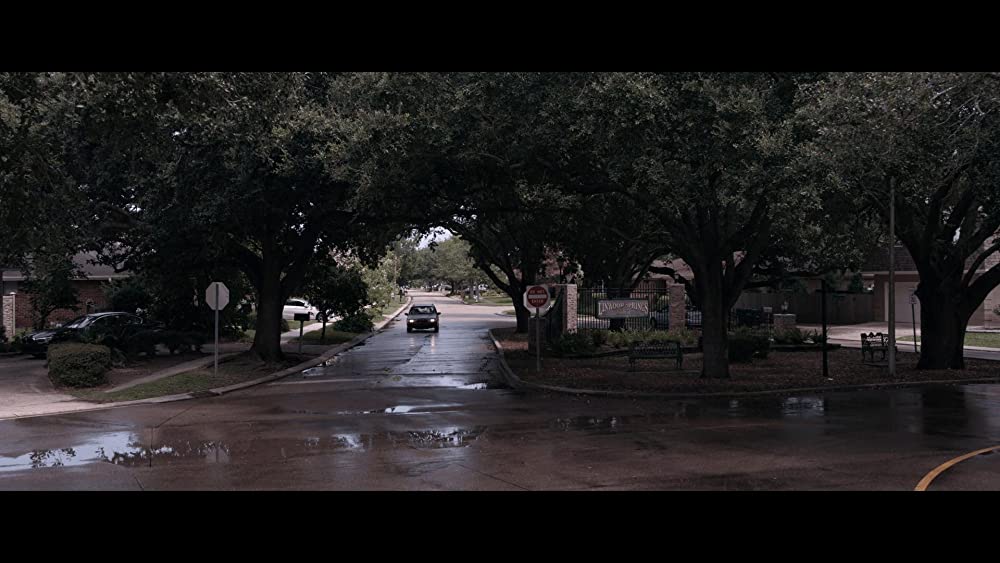 アオラレの画像