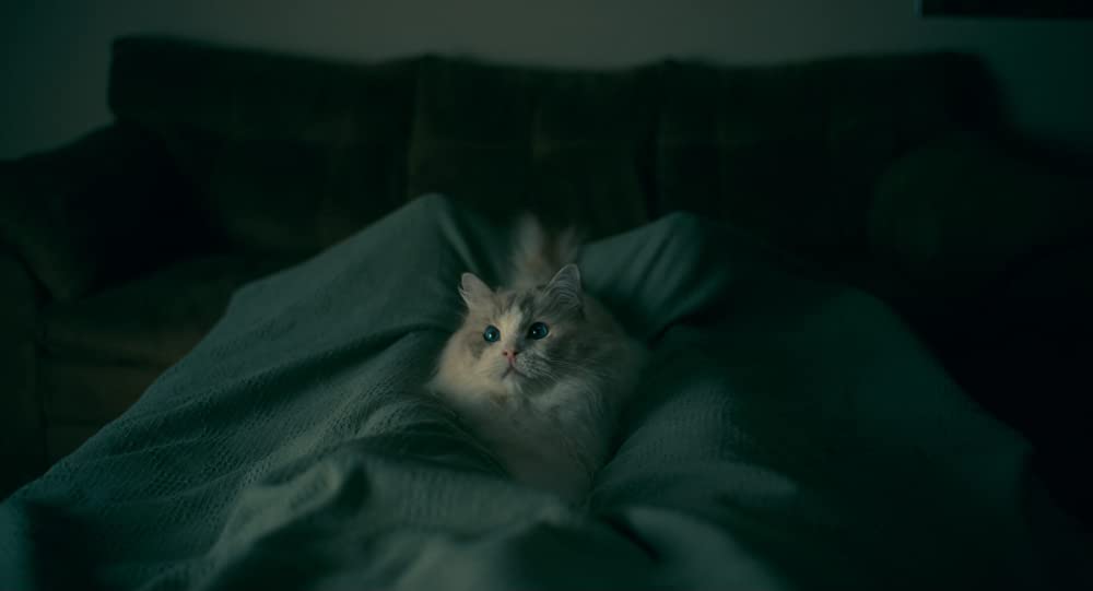 ドクター・スリープの画像