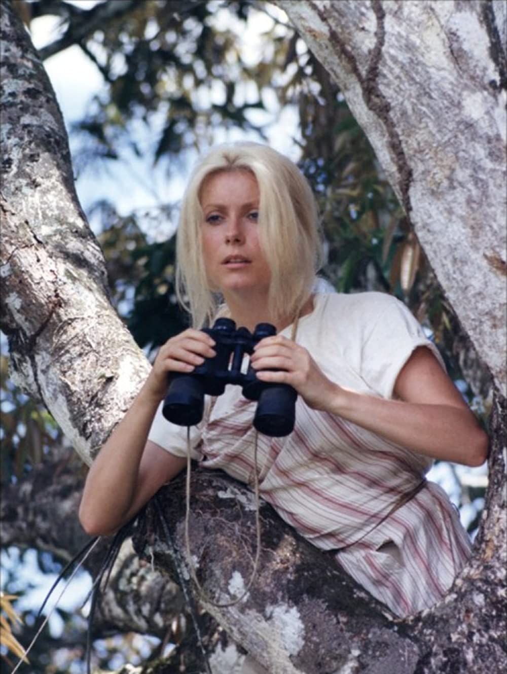 「うず潮」カトリーヌ・ドヌーブの画像