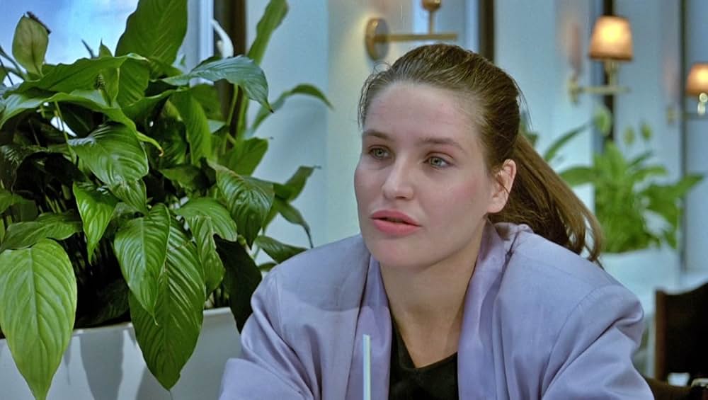 パラダイスの夕暮れの画像