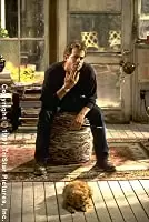 恋愛小説家の画像