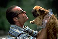 恋愛小説家の画像