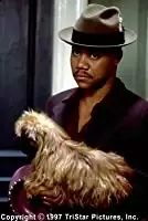 「恋愛小説家」キューバ・グッディング・Jr.の画像