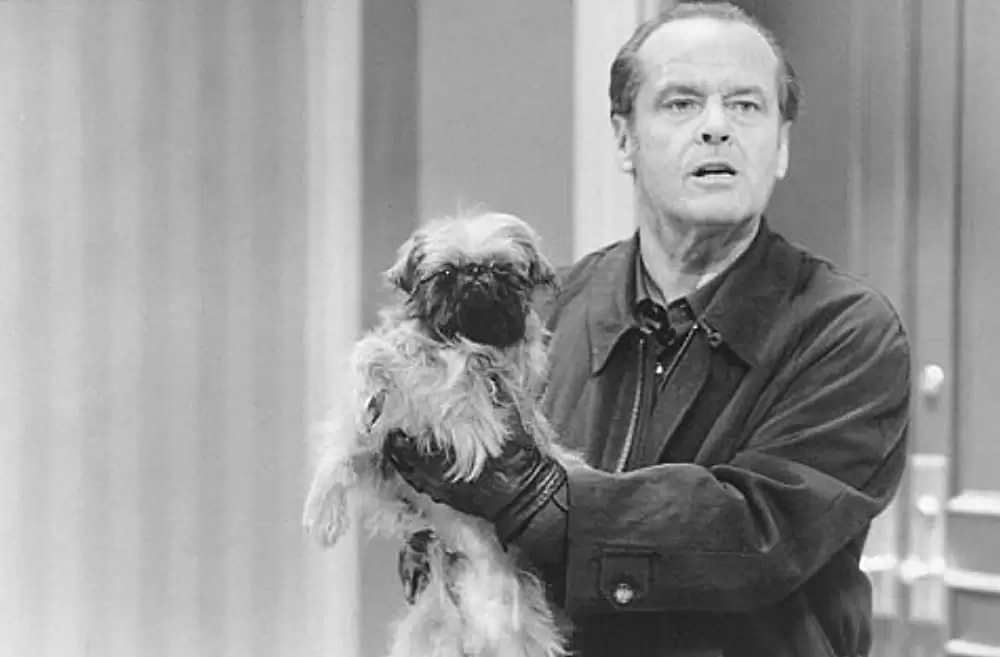 恋愛小説家の画像