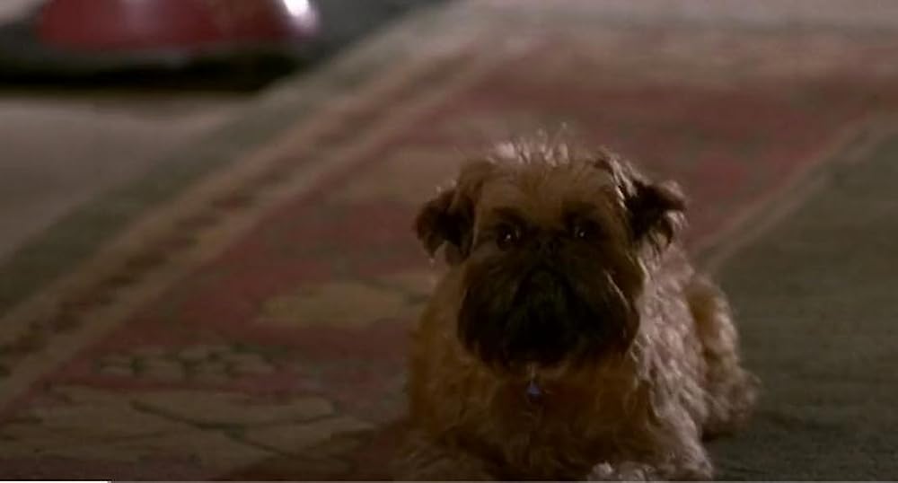 恋愛小説家の画像