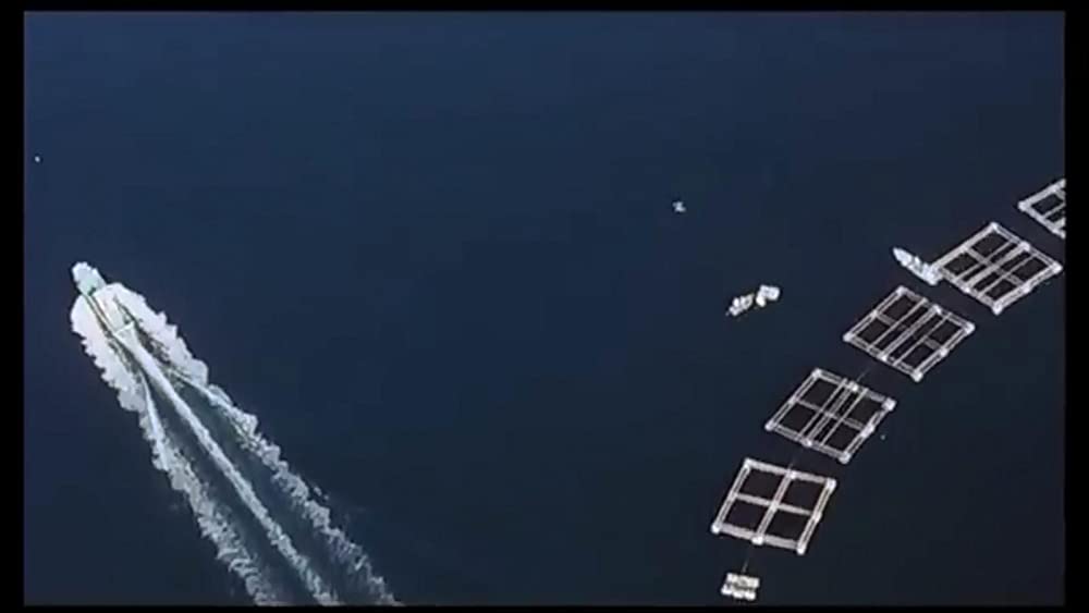 典子は、今の画像