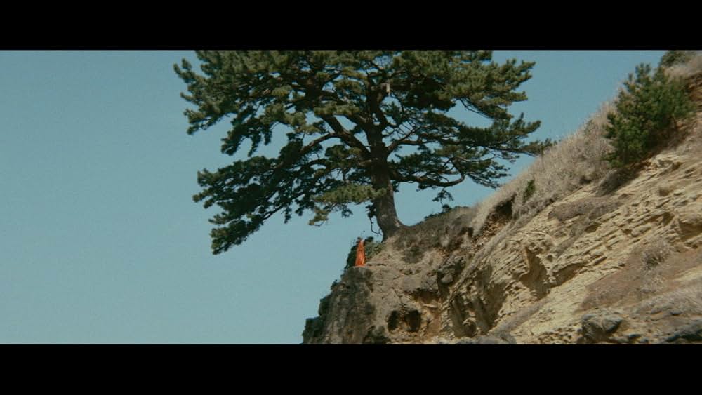 徳川セックス禁止令 色情大名の画像