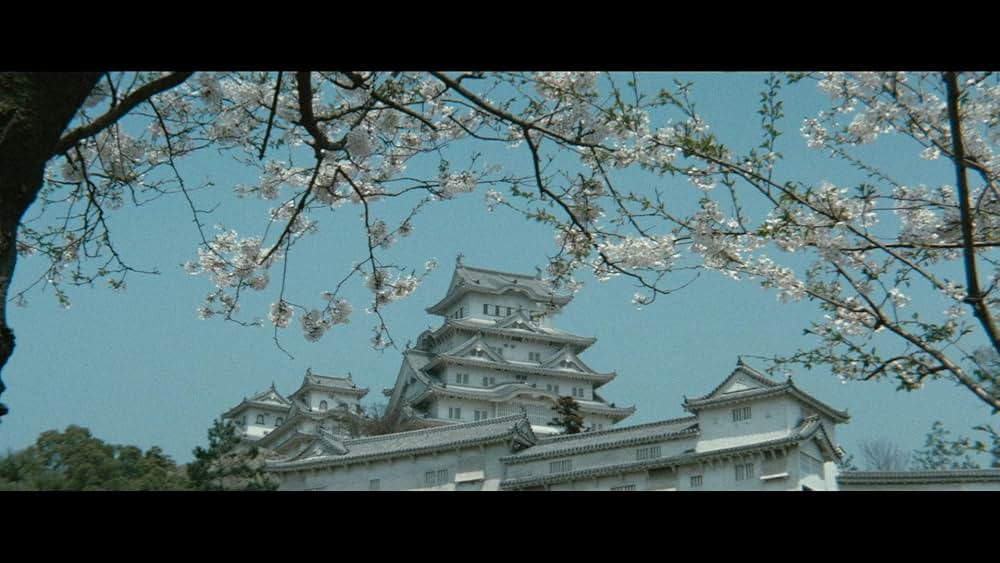 徳川セックス禁止令 色情大名の画像