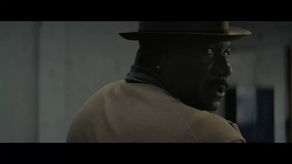 「ミッション：インポッシブル／ローグ・ネイション」ビング・レイムスの画像