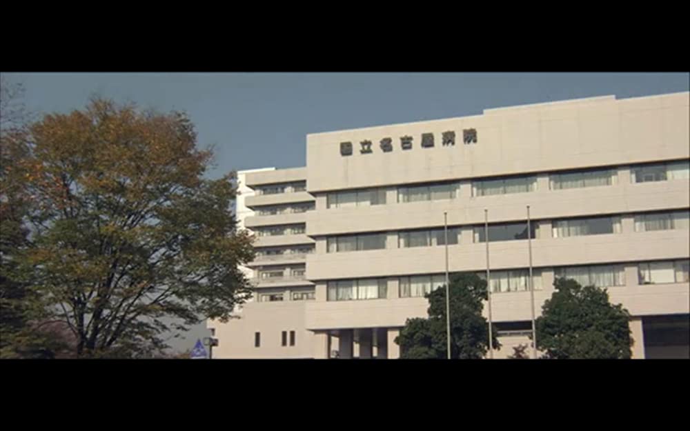 男はつらいよ 寅次郎の青春の画像