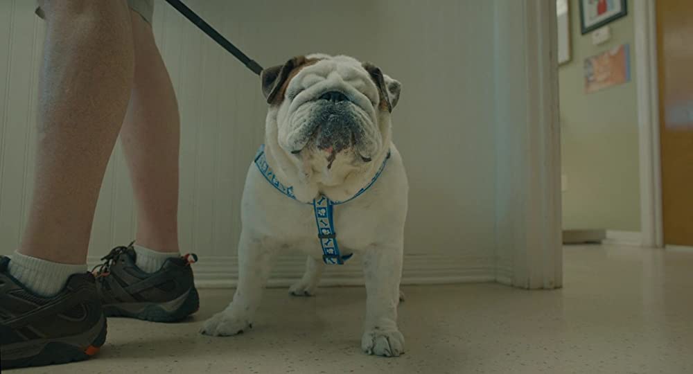 明日への地図を探しての画像