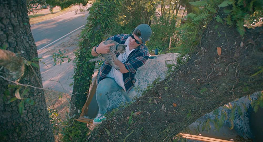 明日への地図を探しての画像