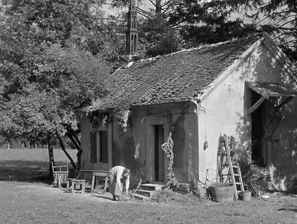 肉体の冠の画像
