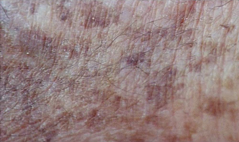 ジャック・ドゥミの少年期の画像