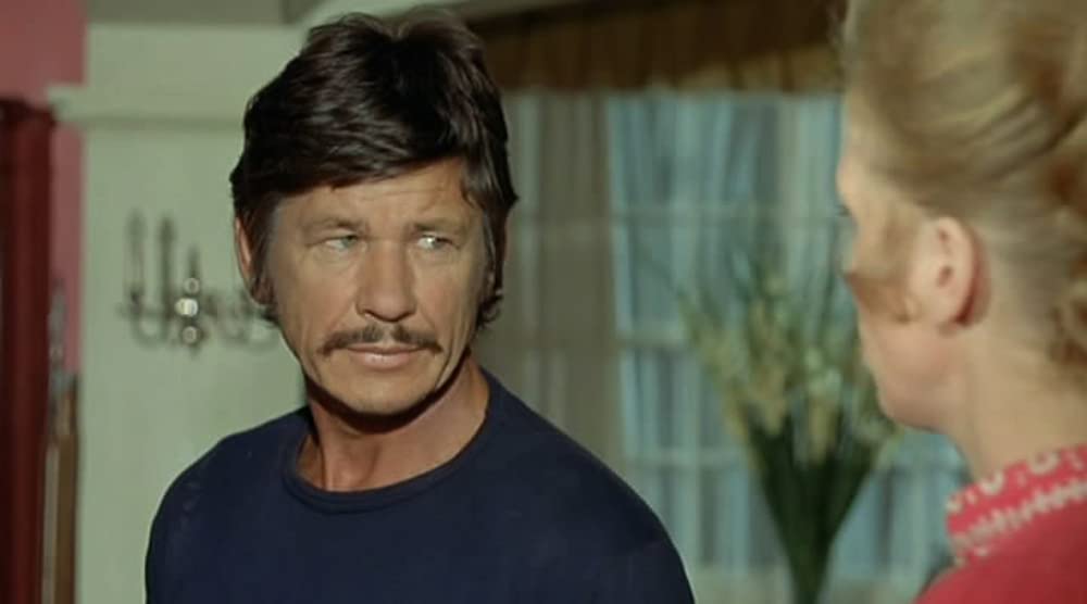 夜の訪問者の画像