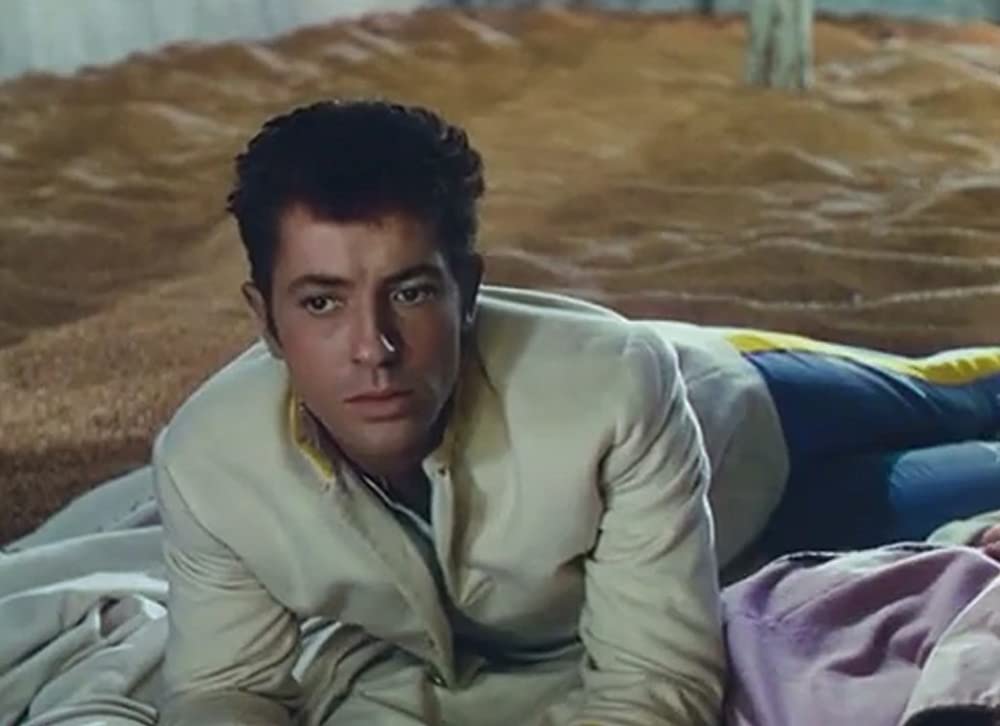 「夏の嵐」ファーリー・グレンジャーの画像