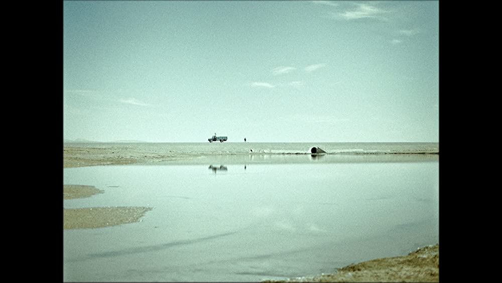 轢き殺された羊の画像