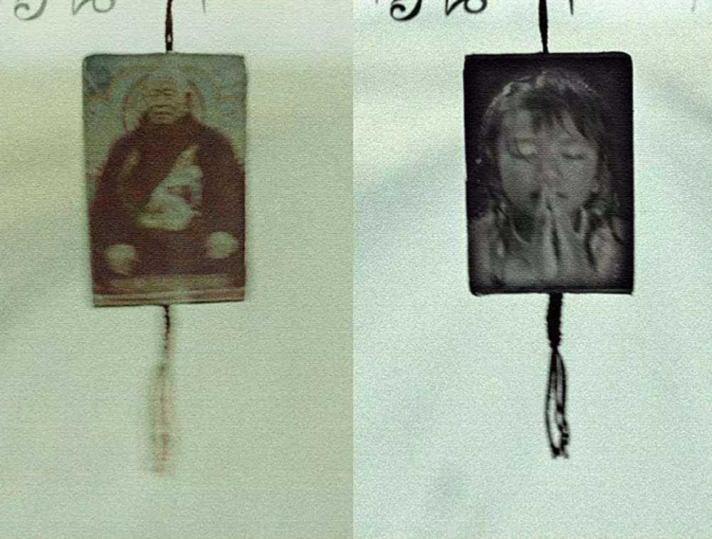 轢き殺された羊の画像