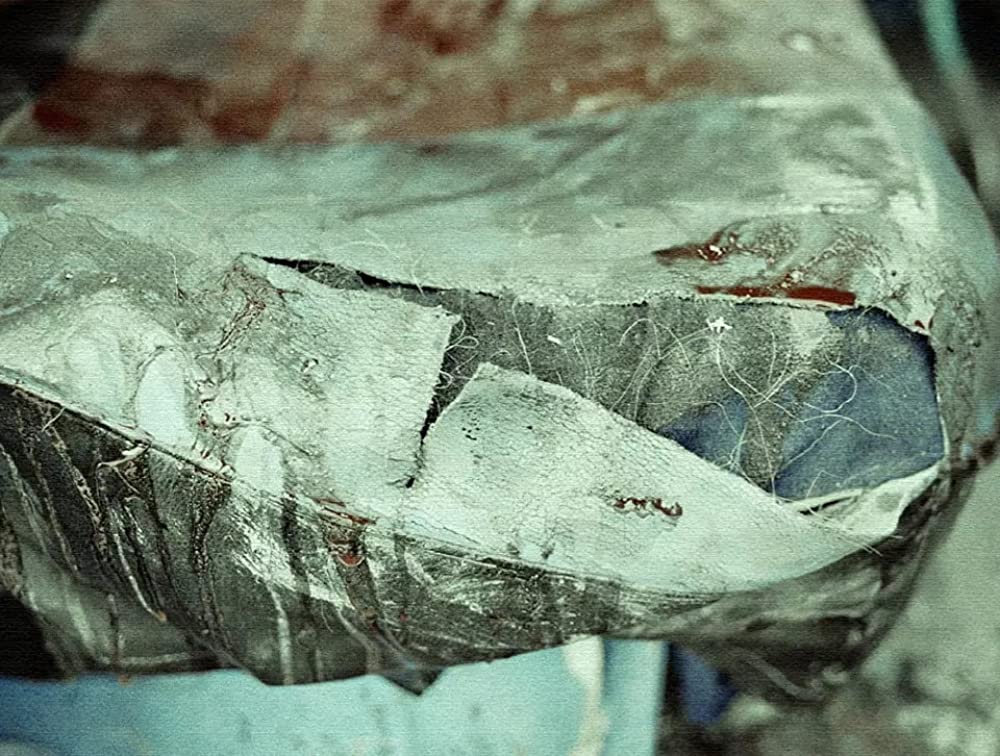 轢き殺された羊の画像