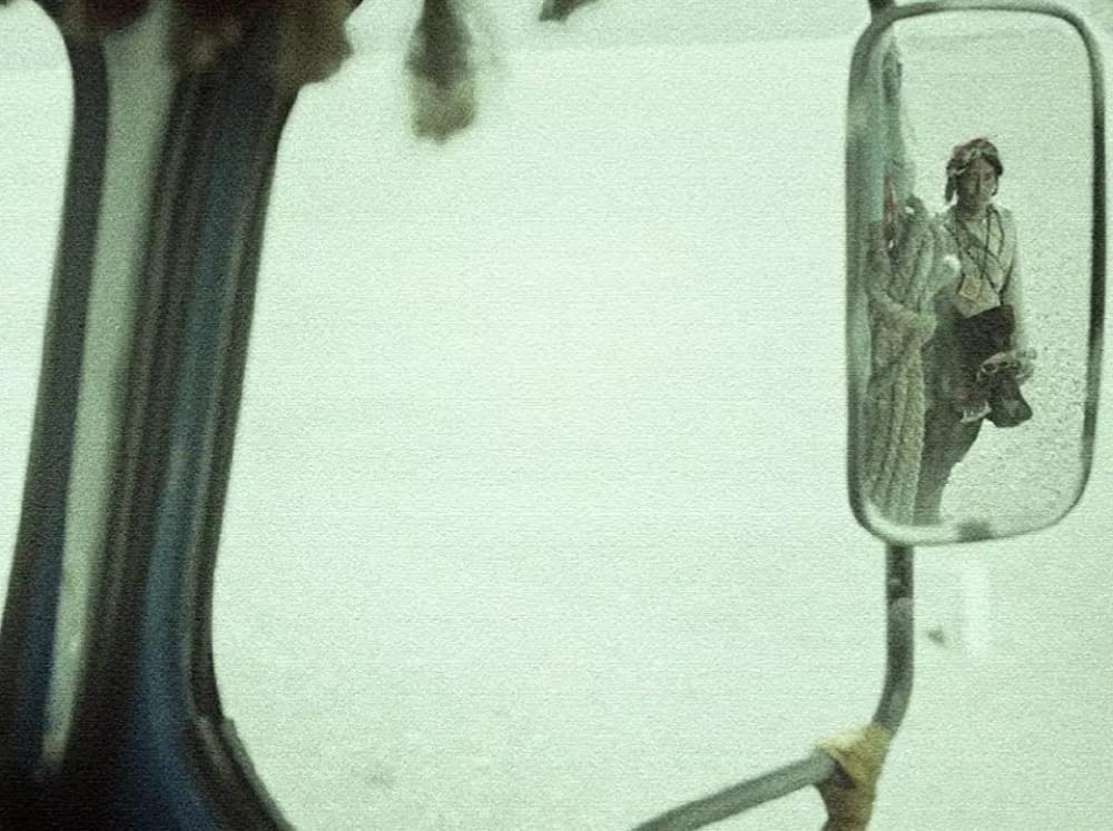 轢き殺された羊の画像