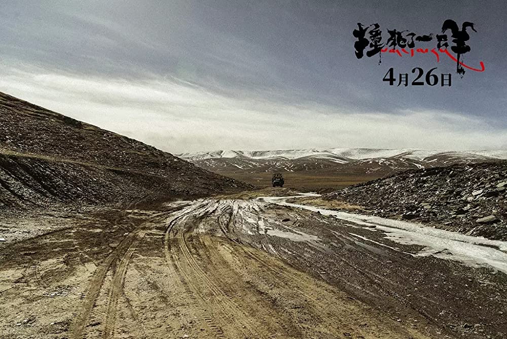 轢き殺された羊の画像