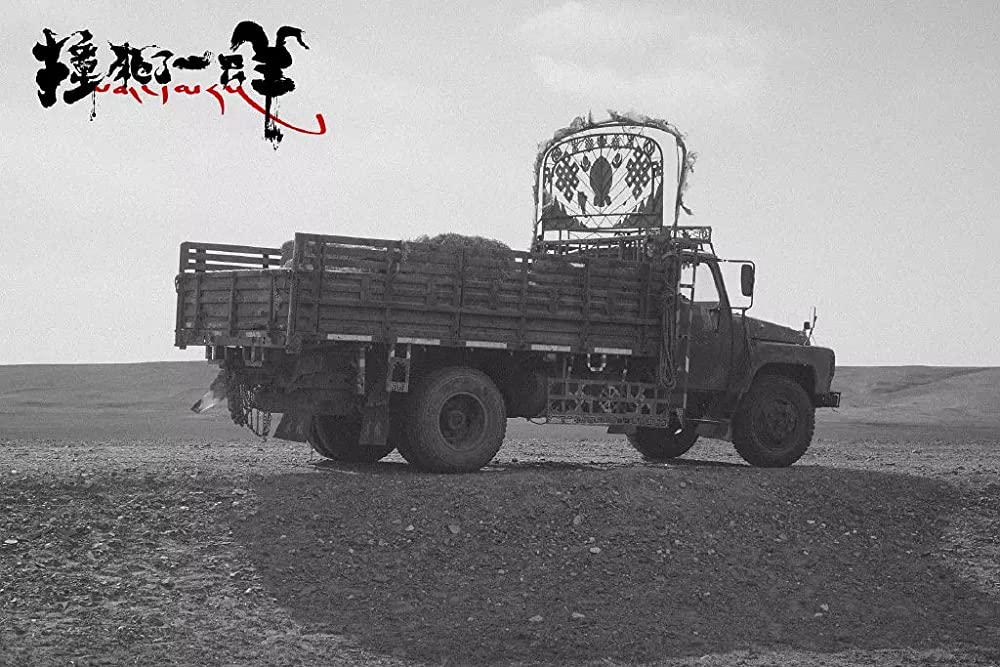 轢き殺された羊の画像