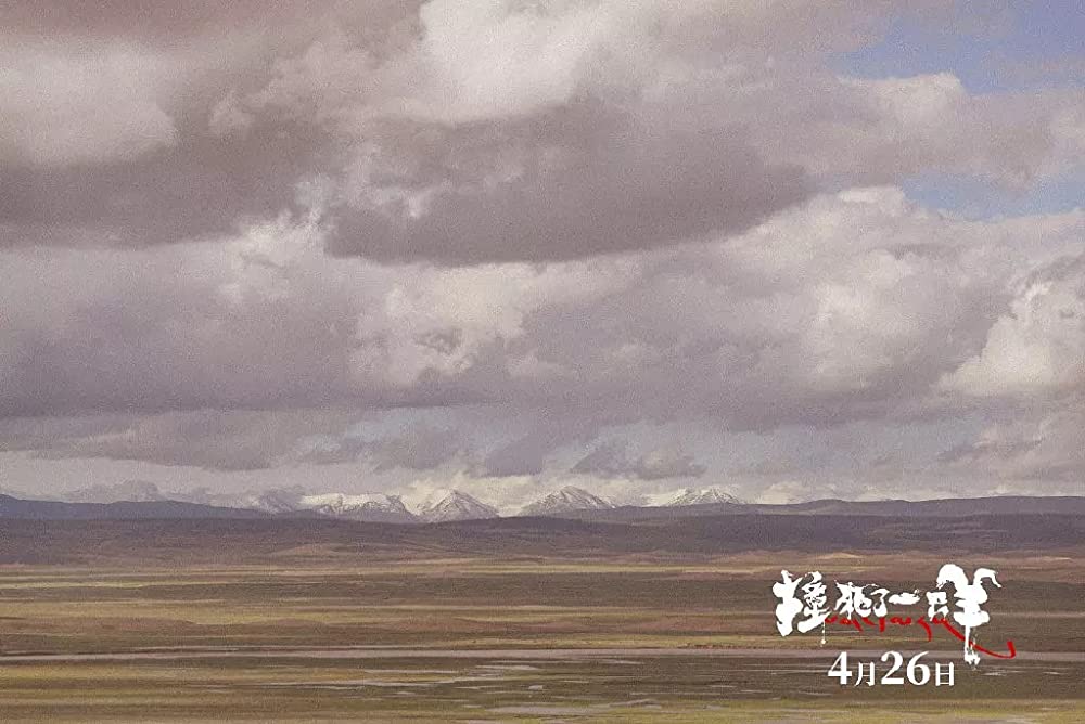 轢き殺された羊の画像