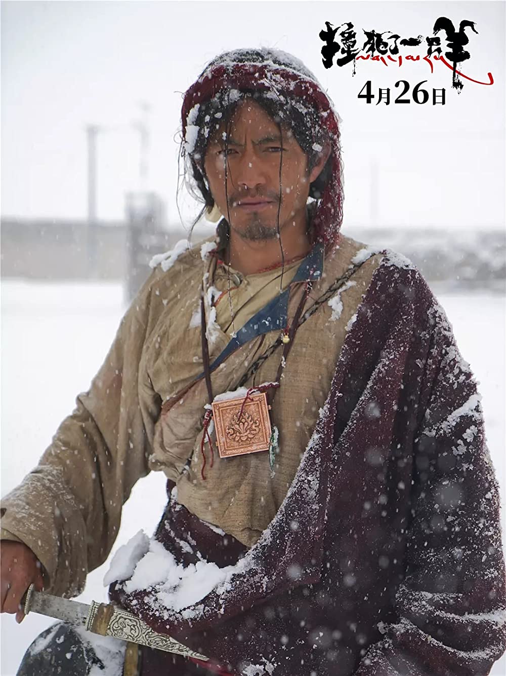 轢き殺された羊の画像