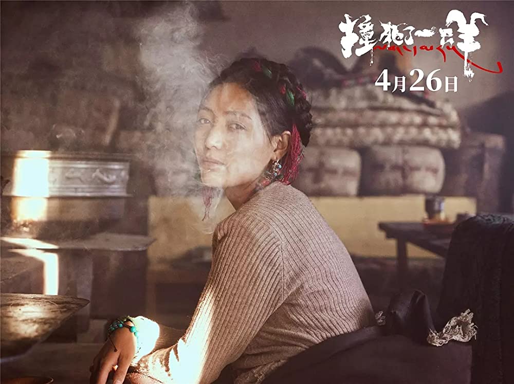 轢き殺された羊の画像